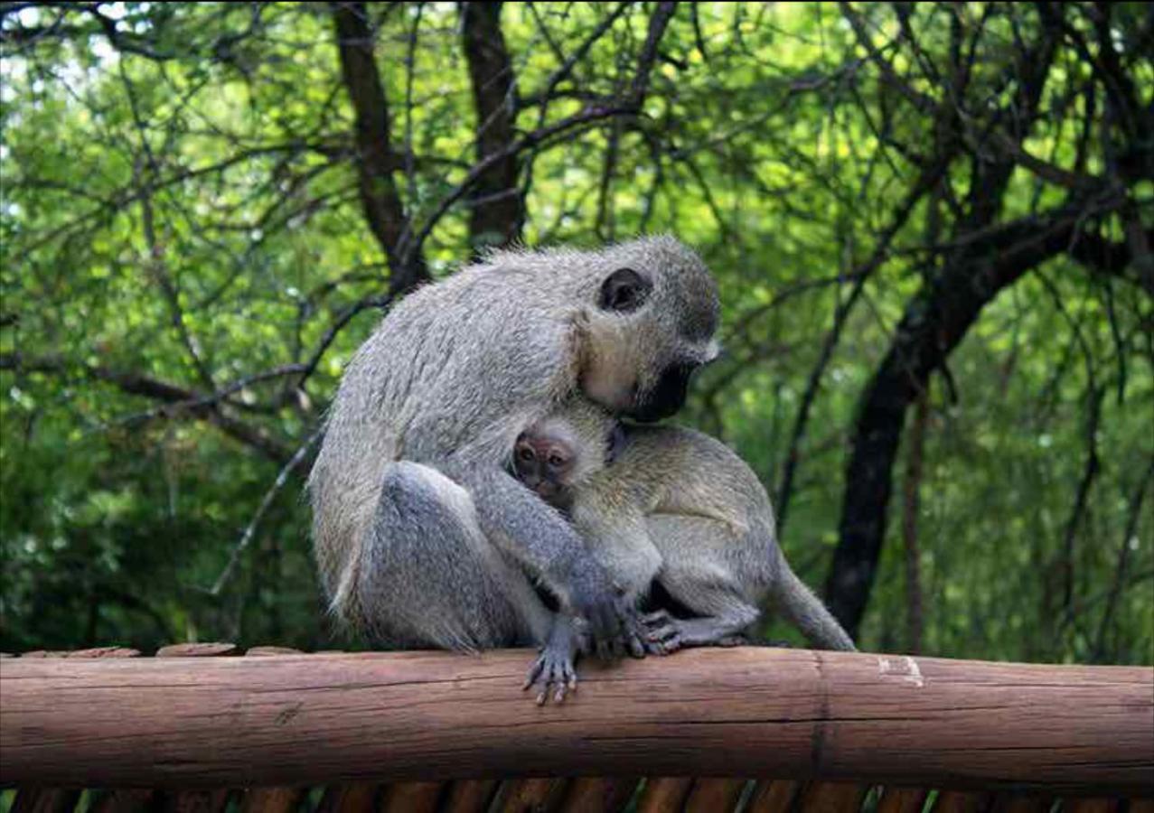 John And Noleen'S Place มาร์ลอทพาร์ค ภายนอก รูปภาพ