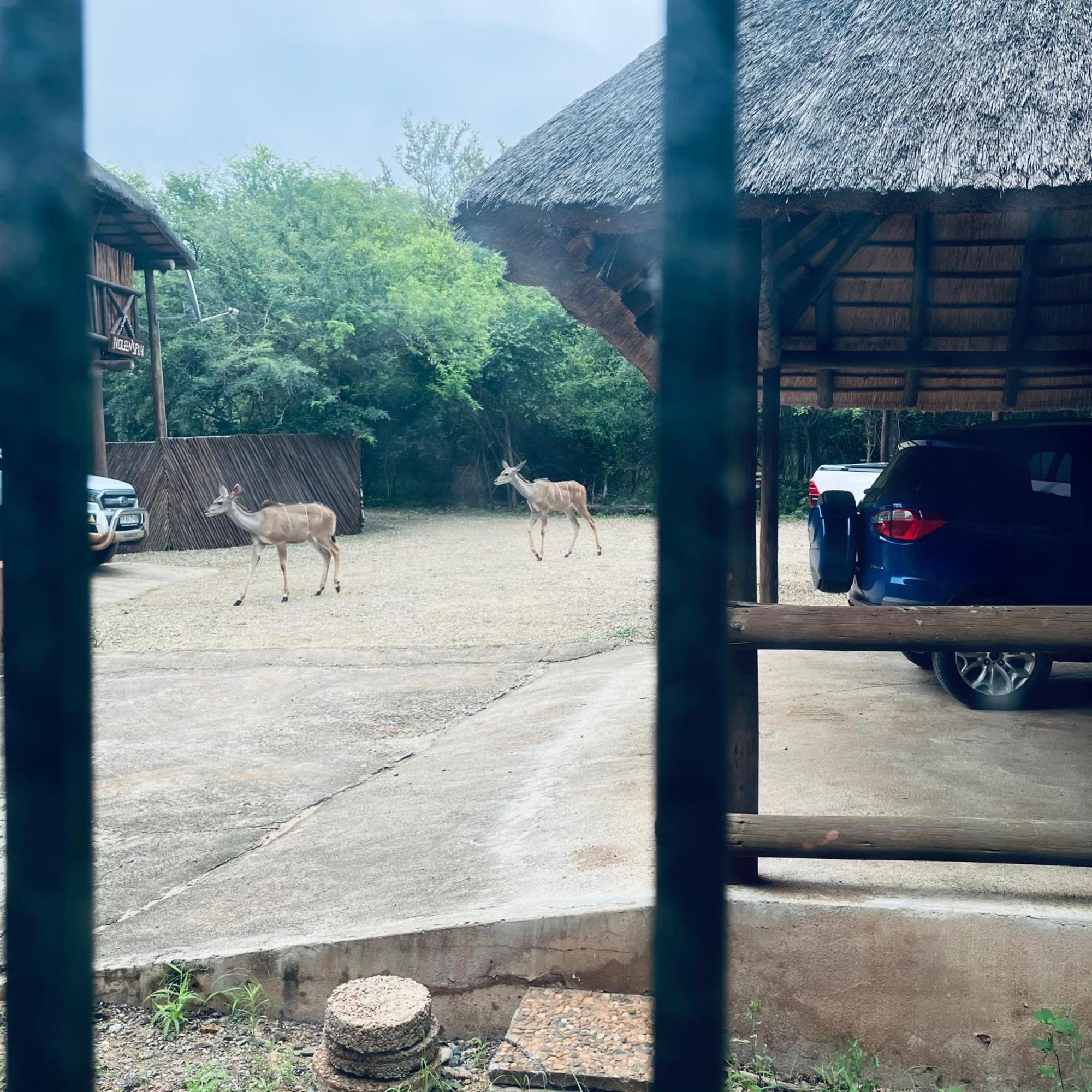 John And Noleen'S Place มาร์ลอทพาร์ค ภายนอก รูปภาพ
